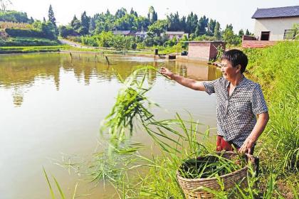 殷永琼:开启生态养鱼“致富门”