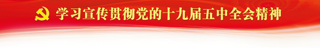 区宣传文化系统专题学习党的十九届五中全会精神