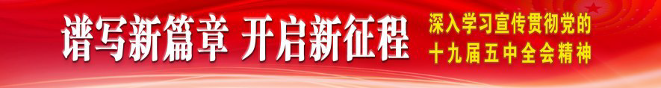 盘龙镇人大代表宣讲党的十九届五中全会精神