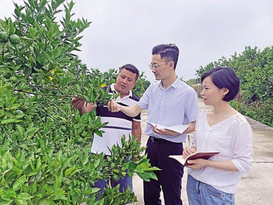 “空壳村”上演“破壳计” ——吴家镇高峰村乡村振兴见闻