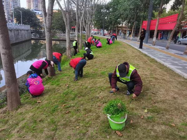 双河街道：环境卫生整治志愿服务 助力文明城区创建