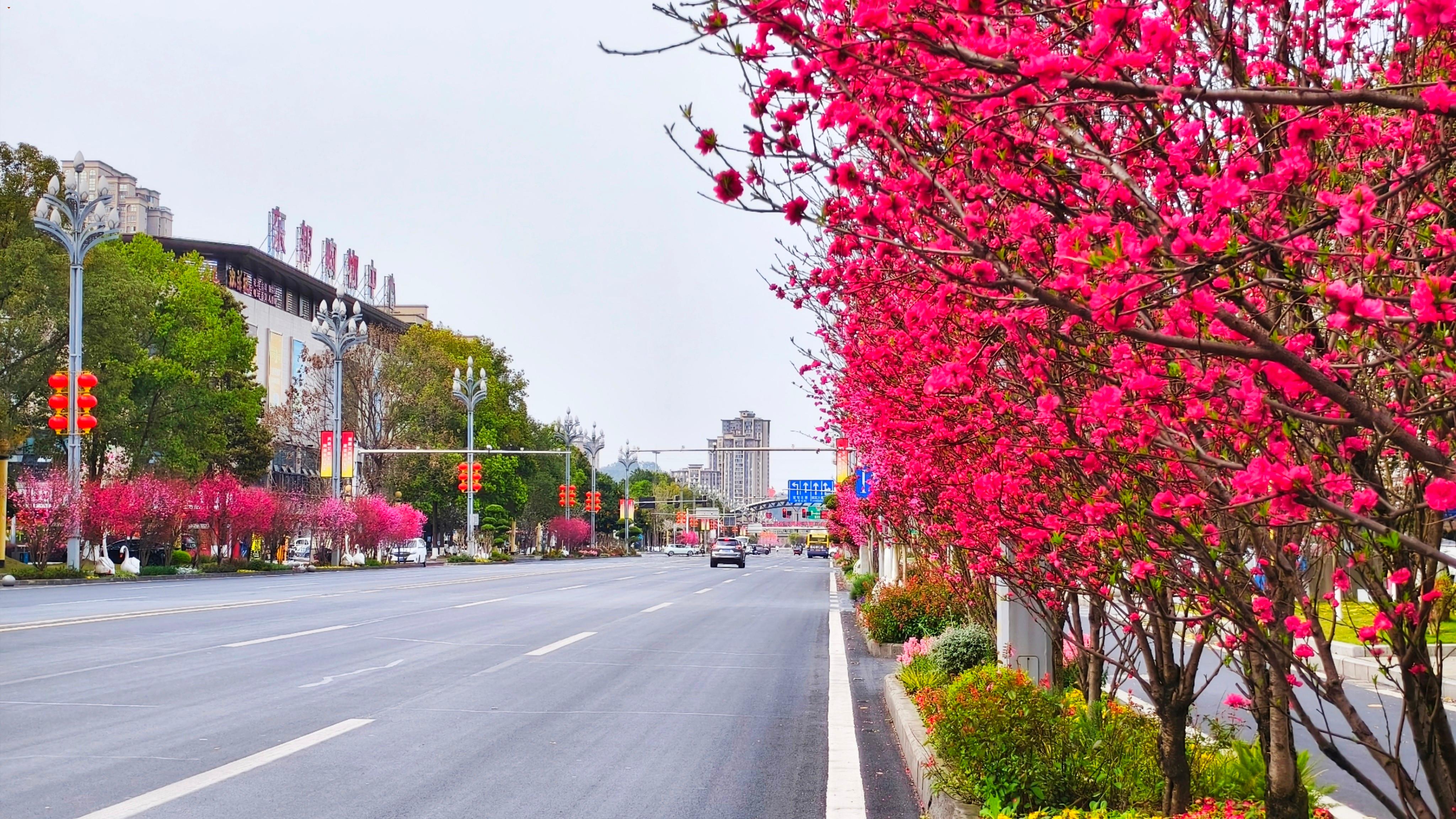 潘静  迎宾大道.jpg